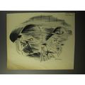 1953 Cartoon by Bernard Wiseman - Wind Tunnel Test