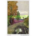 FOREST TRACK , ENGLAND, c1910s, Postcard