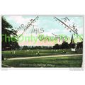 SOUTHBORO COMMON, TUNBRIDGE WELLS, KENT, ENGLAN...