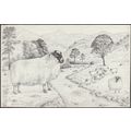 HJ Underwood - Scottish Blackface Sheep, 1984 -...
