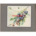 A Hang Of Plums, Anna Airy, Book Illustration (...