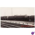 Railway Photo SR King Arthur 799 Sir Ironside S...