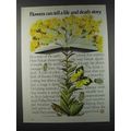 1981 Phillips 66 Oil Ad - Flowers Can Tell a Story