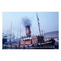SQ1954 - UK London Tug - Racia - photograph 6x4