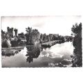 49 - Montreuil-Bellay - le château et le Thouet
