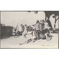 Ready for a Drive, Cairo, c.1910s - Postcard LC184
