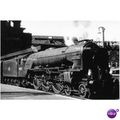 60130 Ex LNER A1 'KESTREL' @ KINGS CROSS 62