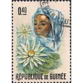 GUINEA, FLOWERS, Nymphaea sp. (Nymphaeaceae), w...