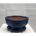 "Blue Ceramic Bonsai Pot -Lotus ShapedWith Humi...