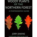 Woody Plants Of The Northern Forest