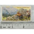 1914 Wills Overseas Dominions Canada No. 26 Bea...