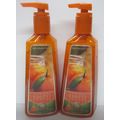 2 Bath & Body Works Deep Cleansing Hand Soap He...