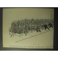 1953 Cartoon of Christmas Trees - Christmas Wre...