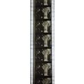 NOTORIOUS. Pk MTP - A015o. 1 STRIP OF 5 - 35MM ...