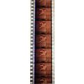 VAMPIRES. Pk MTP - A016p . 1 STRIP OF 5 - 35MM ...