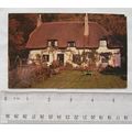 vintage postcard Green Walk Cottage, Milton Abbey