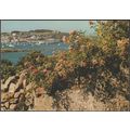 The Harbour from Seaways, St Mary's, Isles of S...