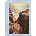 MA Cape Ann Magnolia ma_box1~269