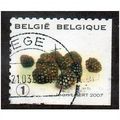 BEL 2007 (52c)(S/A) 'FRUIT- BLACKBERRIES' FINE ...