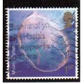 Great Britain 2007 Sea Life 1st Moon Jellyfish ...