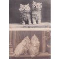 Fluffy Pets 2x Cute Kitten Antique Cat Postcard s