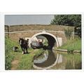 Horseboat Pamela Shropshire Union Canal Audlem ...