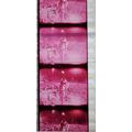 ALICE COOPER. Pk MTP - c075W . 1 STRIP OF 5 - 3...