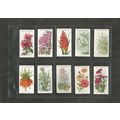 Flowers A full set of Wills Cigarette Cards Old...