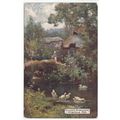 Allerford Mill Somerset Oilette Art Postcard 7796