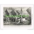 A BULLOCK RACE AT BRAESSCHAET, BELGIUM, BOOK-PL...