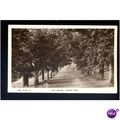 Westmorland LEVENS PARK Avenue Postcard by A.& ...