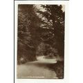 Kent WROTHAM HILL Fairseat Road Postcard by H.B...