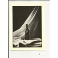 WINE BOTTLE (Tino Tendaldi) Athena Postcard (65...