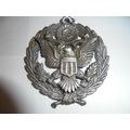(STUNNING and LARGE) AMERICAN EAGLE METAL PENDA...