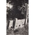 The Ancient Stocks Hayling Island Real Photo Po...
