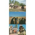 Gabes Le Cafe De La Cascade Tunis 3x Postcard s