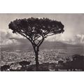 Napoli panorama S Martina Italy Real Photo Post...