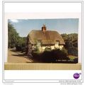 NEW FOREST COTTAGE, HANTS, ENGLAND, Postcard