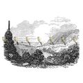 Bonchurch, Isle Of Wight, England, 1840, MODERN...
