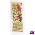 1936 Typhoo Tea trading card Wild Flowers in th...