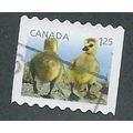 CAN 2011 $1.25 (S/A) 'BABY WILDLIFE' FINE USED ...