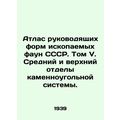 Atlas of the Leading Forms of Fossil Fauna of t...