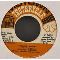 Michael Jackson - Rockin Robin / Got To Be Ther...