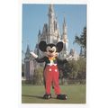 Mickey Mouse Postcard Walt Disney World A