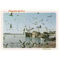 Figueira da Foz Portugal Postcard unused VGC