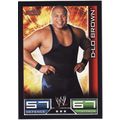 Slam Attax D-Lo Brown RAW