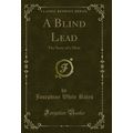 A Blind Lead: The Story of a Mine (Classic Repr...