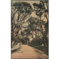 Avenue and Lodge at Anthony, Cornwall, 1907 - V...