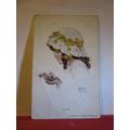 ALICE by BESSIE PEASE GUTMANN unused antique po...