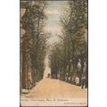 Avenue, Churchyard, Bury St Edmunds, Suffolk, 1...